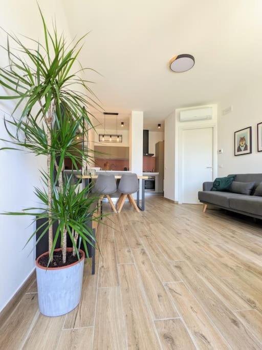 Casa Ikigai Sirolo - Appartamento Nuovissimo Con Giardino, A Due Passi Dal Centro Eksteriør billede